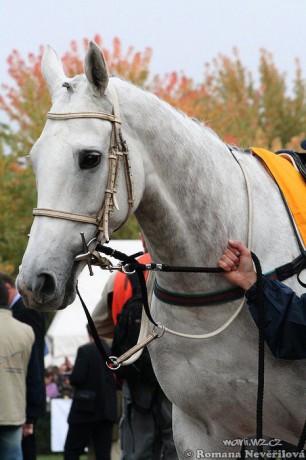 10. Sixteen -Výtězka